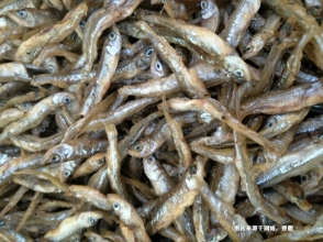 越南康氏側(cè)帶小公魚進(jìn)口報(bào)關(guān)流程到廣州南沙案例